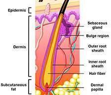 Info