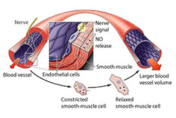 Doctor Formulation
